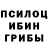 Псилоцибиновые грибы Psilocybe Quvonch Bek