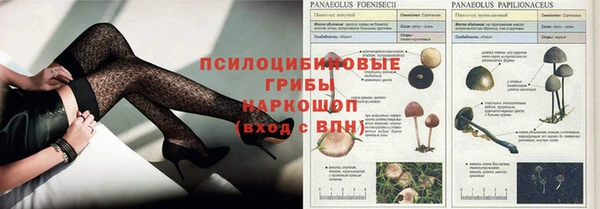 гидра Алзамай