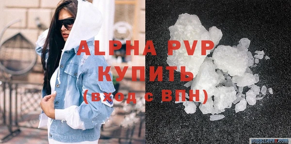 индика Новодвинск