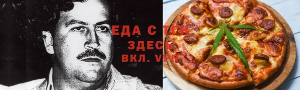 индика Новодвинск