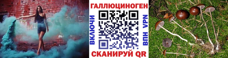 Галлюциногенные грибы Psilocybine cubensis  цена   Красноуральск 